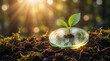 © Viktor - Green Plant Growing From A Transparent Eco Investment Coin