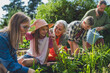 © Halfpoint - Happy farmer family looking at their harvest outdoors in garden.