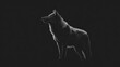 © Oleksandr - Monochrome wolf silhouette on a deep black background â€” editable design template for branding and artwork