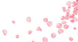© MDTOUFICKAHAMAD - Scattered pink rose petals falling, isolated on transparent background