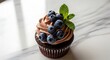 © Mlepuh - Delicious chocolate cupcake with blueberries and fresh mint on marble