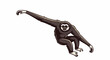 © Fajar - Dark-furred ape with long arms and white face accents, poised to swing
