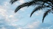 © Настя Шевчук - Silhouetted tropical palm branches stretch across a soft blue cloudy sky, airy copy space and calm natural light creating a peaceful Palm Sunday background with serene devotion, ultra-realistic, no
