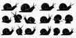 © Akun - Set of various snail silhouettes, showing different poses and perspectives of the mollusk.