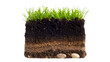© Pablo - Cross-section of Soil Layers with Green Grass and Small Pebbles