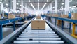 © Kopihijau - Automated conveyor belt system transporting cardboard boxes in a modern distribution warehouse