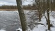 © WalDec - Zima w parku