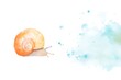 © Daisyboo - Snail leaving a trail of watercolor