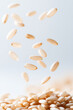 © NeuroCake - Raw rice seeds falling onto a pile. Floating uncooked cereal crop against a pale blue background