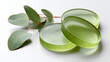 © Tichila - Glossy green eucalyptus lozenges with fresh eucalyptus leaves isolated on white background. Natural throat care concept for cough relief, fresh breath, wellness support, and herbal medicine.
