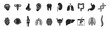 © Ira - Anatomy organs medical silhouette set icon on transparent background