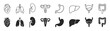 © Ira - Anatomy organs medical outline solid set icon on transparent background