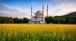 © Valentina - Beautiful view of the mosque in the meadow.