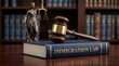 © Pinit - Legal system representation with a judge's gavel on an Immigration Law textbook and a Themis statue.