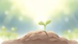 © Jchanism - Soft hand-drawn illustration of a green sprout emerging from soil under warm sunlight, symbolizing hope and new beginnings.