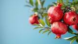 160_f_1995463962_g8vfbixwwnnhjp6xp3zgqetpyjn3coca