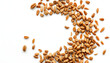 © Yusuf - Above or Top view of animal food. Brown Dried dog food on white background. Grain pet food banner background with copy space for text design. White tone