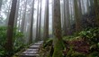 © Hashigo - 霧に包まれた神秘的な杉林と石畳の道 / Mysterious cedar forest with a stone path in the mist (Generative AI)