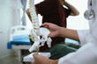 © Kieng - Doctor explaining spine anatomy with a model to a male patient experiencing lower back pain in a clinic, discussing diagnosis and treatment options.