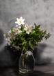 © INGA - Bouquet of white wildflowers in a glass vase with soft natural light and shadows, creating a moody still life composition.