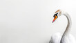 © Alopz - Clean white backdrop minimalist swan profile close up long neck copyspace illustration design