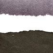 © robiinternet - Close-up of torn paper, muted purple and dark gray, white space divide isolated on a transparent background
