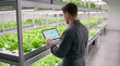 © Visionary - Farmer monitoring hydroponic farm with tablet, vertical agriculture technology, indoor greenhouse cultivation, sustainable food production, smart farming innovation and modern