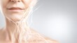 © muji - Intricate Network of Collagen Fibers Stretching Across Skin