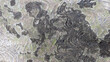 © Maule - Top view of weathered concrete surface with dark damp patches, green moss, and wavy textured patterns creating a gritty abstract background