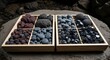 © Alvin - Various natural rocks and stones sorted into compartments within wooden trays