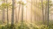 © Sekai - Luminous Spring Aspen Grove Print With Breakthrough Light Vibrant Green Leaves And Peaceful Woodland Charm