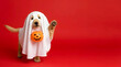 © Synthesia Studio - Cute golden retriever puppy in ghost costume with pumpkin basket waving paw for Halloween trick or treat on red background copy space