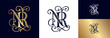 © Easy - Ornate NR monogram emblem luxury vintage monogram initials elegant alphabet letter.