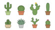 © pratama yudi - Collection of eight potted cactus plants in various shapes and sizes 1.