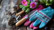 © Nataliya - Overhead flat lay of child-sized gardening gloves, small trowel and spring flower seeds arranged on soil, gardening gift concept, grow a flower for mom, with copy space