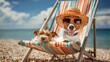 © DSimage - Two cute dogs relaxing on a colorful deck chair at the beach, one wearing sunglasses and straw hat, summer vacation concept with copy space.