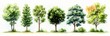© Margarita - seven hand-painted watercolor trees in a row with varied green and yellow foliage, slender trunks, grassy shrubs at the base, calm serene natural scene