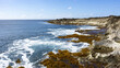 © JinChang - 갯바위,해초,노스쇼어,North Shore,오아후,하와이,미국