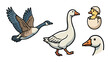 © welyalfian - Goose Vector Set Farm Bird Collection with Flying Walking and Chick