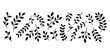 © MDRAJU - Black silhouette branches with leaves on white background