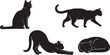 © Bristy - Cat Vector illustration