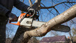 © ANDREY PROFOTO - Professional tree trimming with a chainsaw outdoors