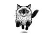 © Shutoda - Ragdoll Cat hand drawn simple sketch vector illustration