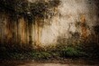 © vxnaghiyev - Closeup of a weathered wall showing mold, liquid stains, and grassy dirt residues
