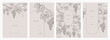 © merfin - Set of card with grapes, vine and leaves. Detailed template layout design, brochure or cover for wine card, menu