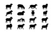 © Naima - Sheep silhouette vector collection, 16 farm animal icons set, black ram and lamb silhouettes for livestock branding and agriculture design