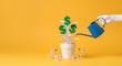 © Alexandr Peers - Sustainable capital accumulation through compounding yield and dividend reinvestment strategy to build long term passive income streams and ensure robust retirement funding for private management