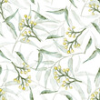 © Evgeniya Sheydt - A beautiful watercolor seamless pattern features Australian eucalyptus leaves and yellow gum nuts on a white background. This botanical design is perfect for fabric, wallpaper, textiles, packaging, we