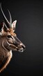 © Mire thursy - Elegant Sable Antelope Portrait on a Deep Charcoal Grey Background