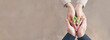 © aFotostock - Banner Green business hands partners holding small tree plant eco company. Hand together trust mission team green hands stacked. Banner sustainable collaborate business green company with copy space